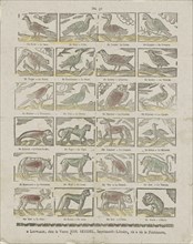 Animals, Johannes Seydel, Anonymous, 1776 - 1813