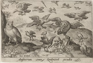 Owl with prey attacked by other bird, Nicolaes de Bruyn, 1594