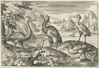 Five birds including spoonbill, Nicolaes de Bruyn, 1594