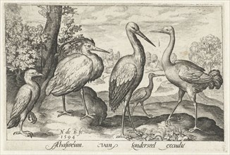 Stork, crane, heron and spoonbill, Nicolaes de Bruyn, 1594