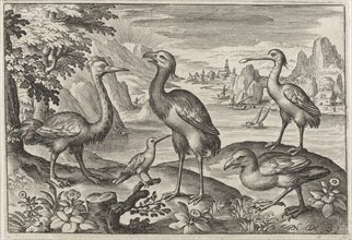 Crowned Crane between two ostriches, Nicolaes de Bruyn, 1594