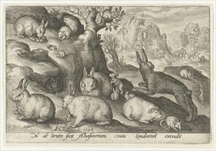 rabbits, squirrel, guinea pig and mouse, Nicolaes de Bruyn, 1594