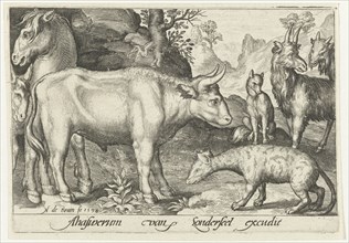 Taurus and other livestock and hyenas, Nicolaes de Bruyn, 1594