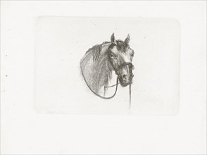 Horse head, slightly to the right, Joannes Bemme, Gerrit Malleyn, c. 1800 - in or before 1841