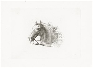 Horse Head, Joannes Bemme, Gerrit Malleyn, c. 1800 - in or before 1841
