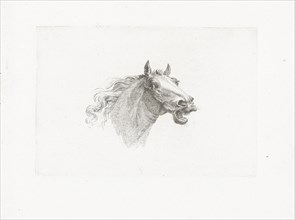 Horse head with open mouth, right, Joannes Bemme, Gerrit Malleyn, c. 1800 - in or before 1841
