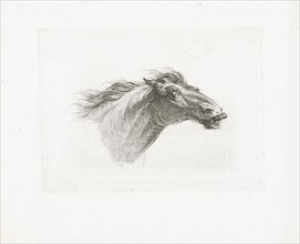 Horse head, Joannes Bemme, Gerrit Malleyn, c. 1800 - in or before 1841