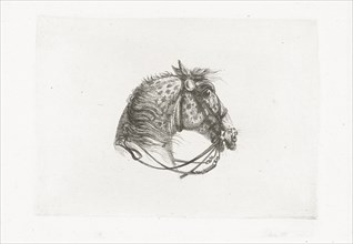 Horse Head, Joannes Bemme, Dirk Langendijk, c. 1800 - in or before 1841