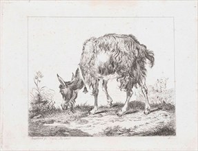 Grazing goat with bell, Diederik Jan Singendonck, Reinhart, 1801 - 1833
