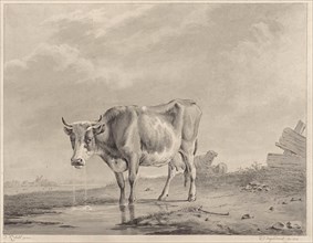 Drinking cow at the water, Diederik Jan Singendonck, 1814
