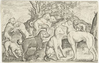 Nine dogs, Nicolaes de Bruyn, 1594