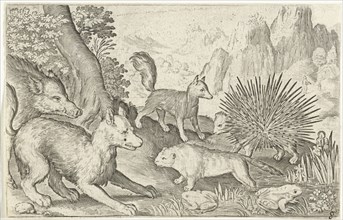 Wild boar, fox, beaver, porcupine and frogs, Nicolaes de Bruyn, 1594