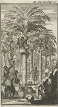 Obtaining palm wine in India, Jan Luyken, Charles Angot, 1689