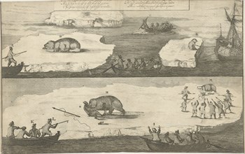 Hunting a polar bear, polar bear attacks a man, Jan Luyken, 1684