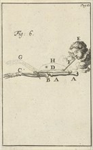 Movement of the arm, Fig 6, Jan Luyken, Jan Claesz ten Hoorn, 1683