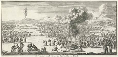 sacrifice of the red heifer, Jan Luyken, Willem Goeree, 1683