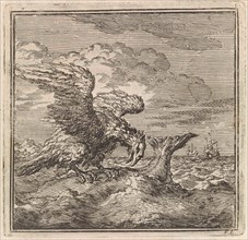 Eagle has caught a big fish, Jan Luyken, wed. Pieter Arentsz & Cornelis van der Sys (II), 1711