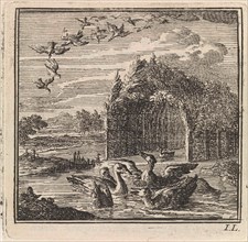 Wild and domestic ducks, Jan Luyken, wed. Pieter Arentsz & Cornelis van der Sys (II), 1711