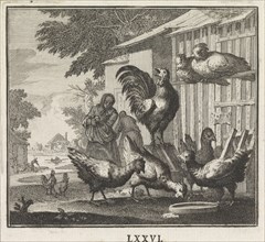 Emblem: Chicken, Caspar Luyken, Christoph Weigel, 1695 - 1705