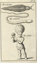 Anatomical figure III, Jan Luyken, Jan Claesz ten Hoorn, 1680 - 1688