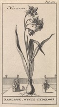 Narcissus, Caspar Luyken, Jan Claesz ten Hoorn, 1698