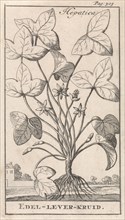 Herb, Caspar Luyken, Jan Claesz ten Hoorn, 1698