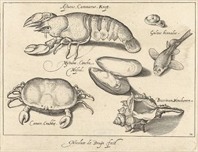 Lobster, crab and shells, print maker: Nicolaes de Bruyn, Francoys van Beusekom, 1581 - 1656