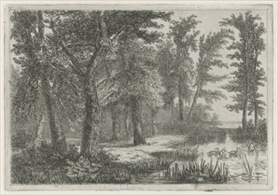forest scene with a natural pond with ducks, print maker: Hermanus Jan Hendrik van Rijkelijkhuysen,