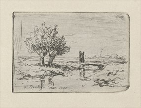 Two willows by the water, Willem Roelofs I 1868, print maker: Willem Roelofs I, 1868