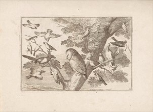 Owl and other birds in a tree, print maker: Pieter Schenk I attributed to, Francis Barlow, Pieter