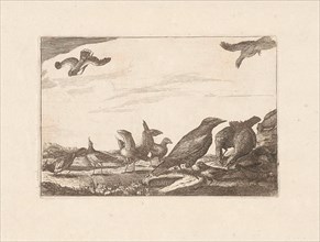 Crow and pheasants, Francis Barlow, Pieter Schenk I, 1675-1711