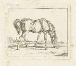 Grazing horse, Jan Dasveldt, 1780 - 1855