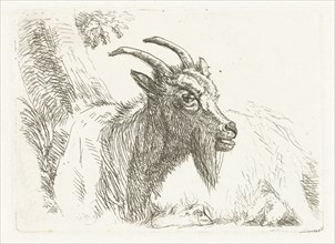 Lying goat, Jan Dasveldt, 1780 - 1855