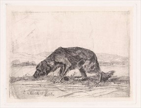 Dog, Elias Stark, 1888