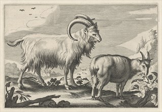 Hilly landscape with two goats, print maker: Reinier van Persijn, Jacob Gerritsz Cuyp, Nicolaes