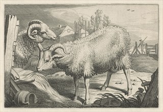 Pasture with a sheep and a ram, Reinier van Persijn, Jacob Gerritsz Cuyp, Nicolaes Visscher (I),