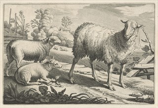 Pasture with a sheep and two lambs, Reinier van Persijn, Jacob Gerritsz Cuyp, Nicolaes Visscher