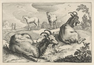 Landscape with two goats and two horses, print maker: Reinier van Persijn, Jacob Gerritsz Cuyp,