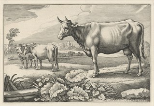 Pasture with cows, print maker: Reinier van Persijn, Jacob Gerritsz Cuyp, Nicolaes Visscher I, 1641