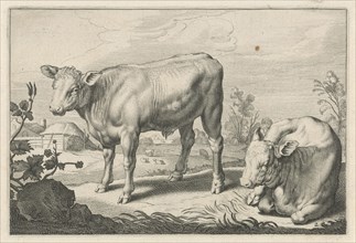 Pasture with two bulls, Reinier van Persijn, Jacob Gerritsz Cuyp, Nicolaes Visscher (I), 1641