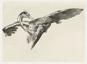 A falcon is a heron in flight, Guillaume Anne van der Brugghen, c. 1826 - in or before 1889