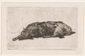 Sleeping dog, Jan Weissenbruch, 1837 - 1880