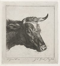 Head of a cow with rope around the horns, Jacobus Cornelis Gaal, 1854