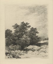 Landscape with trees, print maker: Remigius Adrianus Haanen, 1859