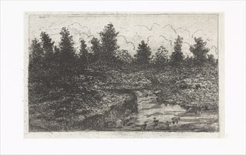 Pond with ducks, Arnoud Schaepkens, 1831-1904