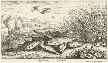 Fish on a riverbank, Albert Flamen, 1664