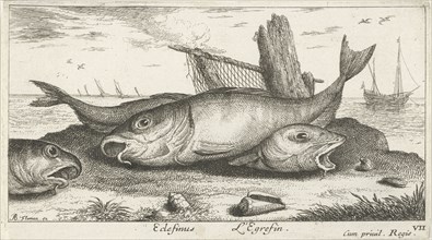 Three haddock on the beach, Albert Flamen, Jacques van Merlen, Lodewijk XIV (koning van Frankrijk),