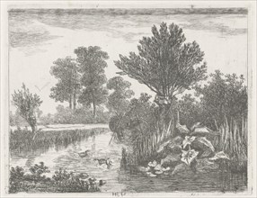 Ducks in a ditch, Hermanus Jan Hendrik van Rijkelijkhuysen, 1823 - 1883