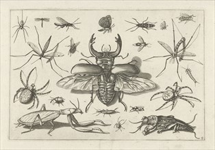 Insects, Jacob Hoefnagel, Joris Hoefnagel, Claes Jansz. Visscher (II), 1630
