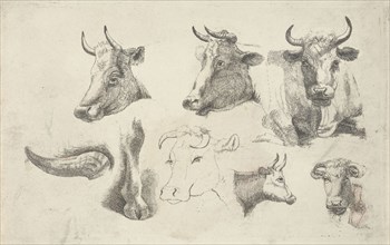 Study Sheet with heads of cows, Andries Leijerdorp, 1799 - 1854